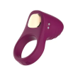 Passion Play Silicone Vibrating Cockring- Purple & Gold
